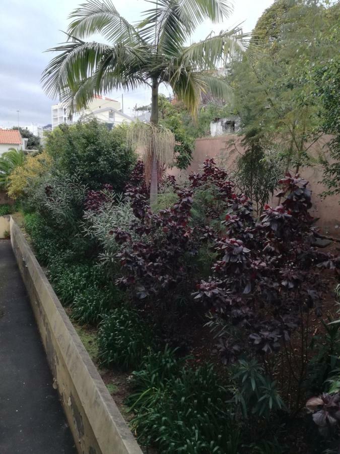 Madeira Funchal Gardens Apartment Exterior foto