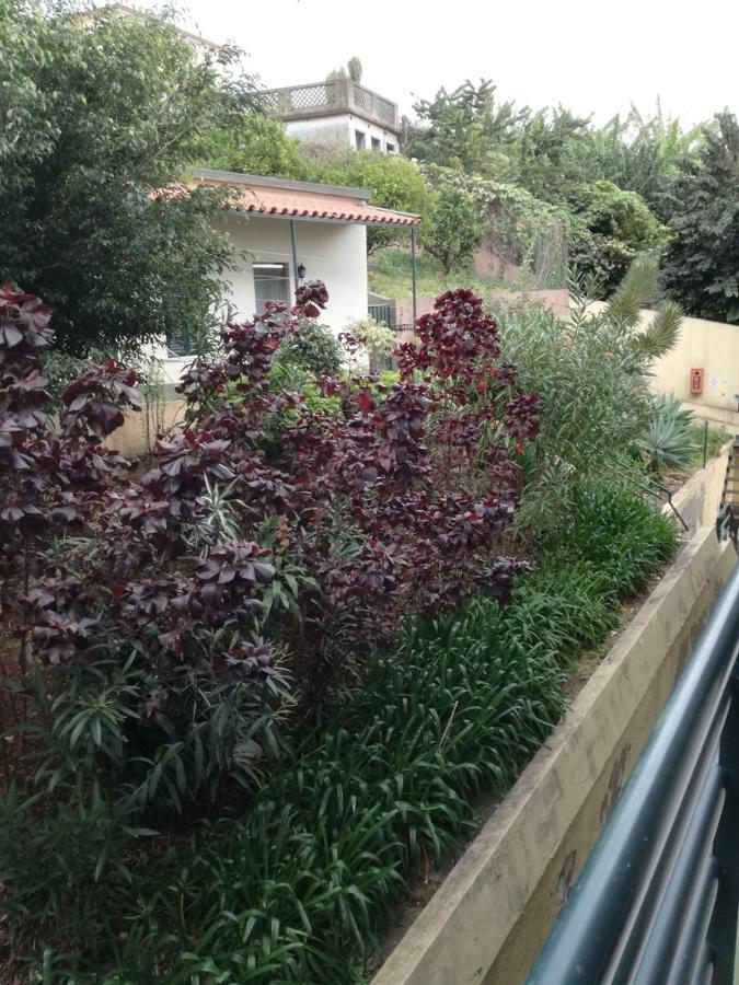 Madeira Funchal Gardens Apartment Exterior foto